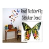 Sunset moth sticker1